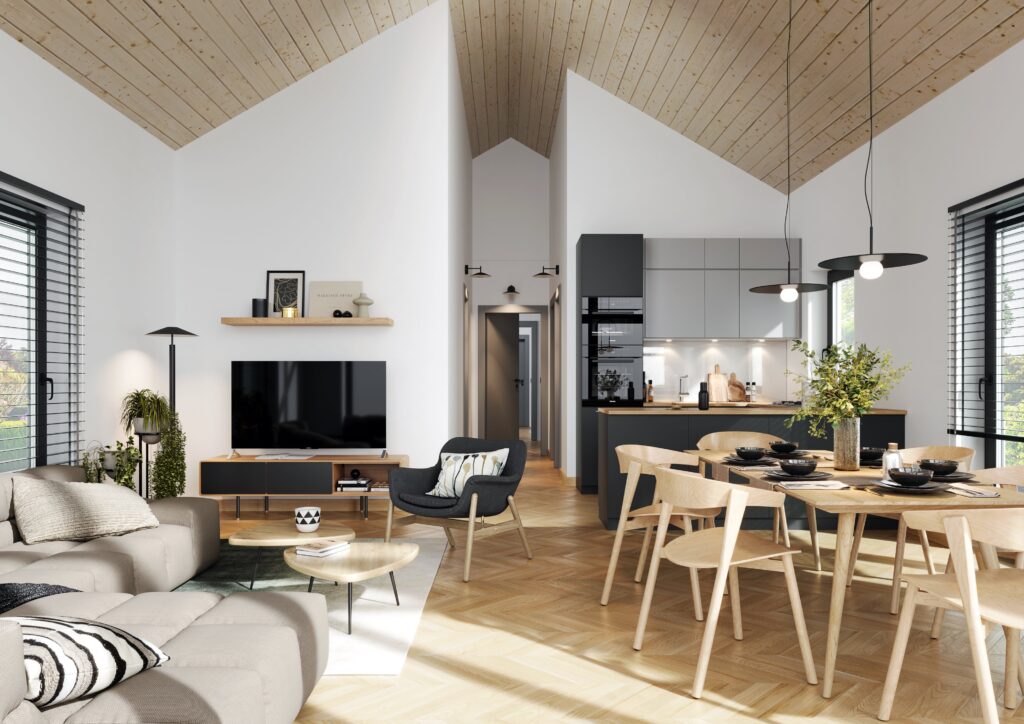 typ4_cam06 kolor HR-min